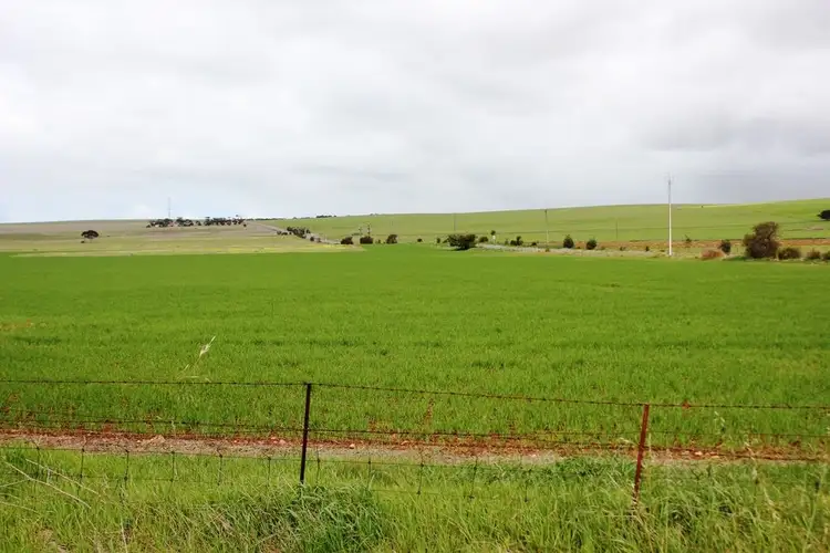 Fourth view of Homely land listing, Lot 169 South Terrace, Curramulka SA 5580