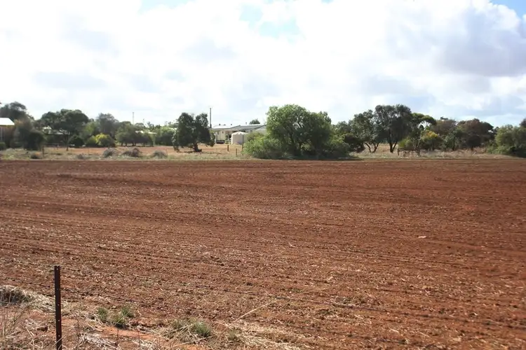 Fifth view of Homely land listing, Lot 169 South Terrace, Curramulka SA 5580