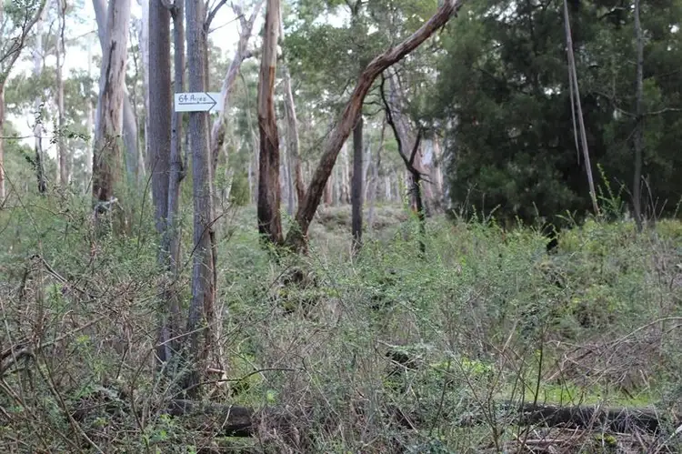 Third view of Homely rural property listing, 000 J Forsyth's Road, Byaduk VIC 3301