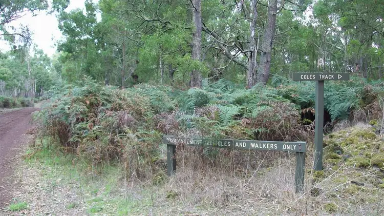 Sixth view of Homely rural property listing, 000 J Forsyth's Road, Byaduk VIC 3301