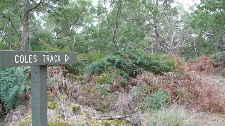 Seventh view of Homely rural property listing, 000 J Forsyth's Road, Byaduk VIC 3301