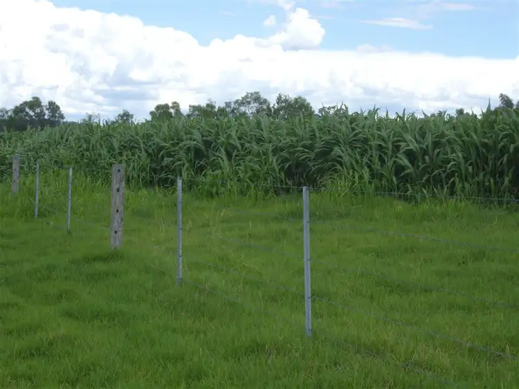 Fifth view of Homely rural property listing, Lot 204 Rossvale West Rd, Pittsworth QLD 4356