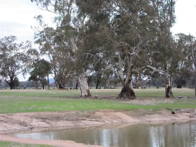 Third view of Homely rural property listing, 100 Walker Road Moglonemby, Euroa VIC 3666