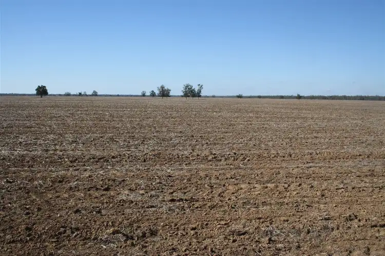 Main view of Homely rural property listing, 'Yarran' Pilliga Road, Coonamble NSW 2829