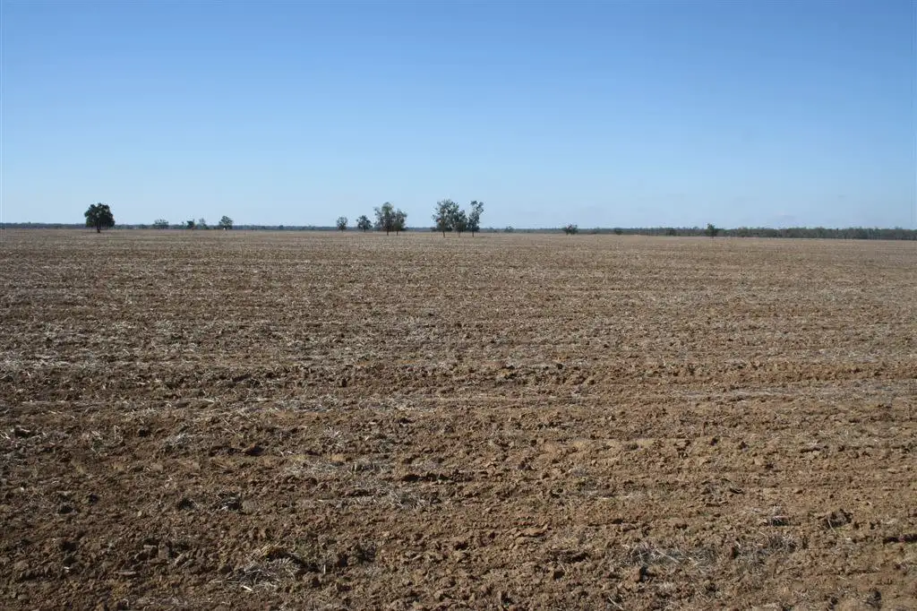 Main view of Homely rural property listing, 'Yarran' Pilliga Road, Coonamble NSW 2829