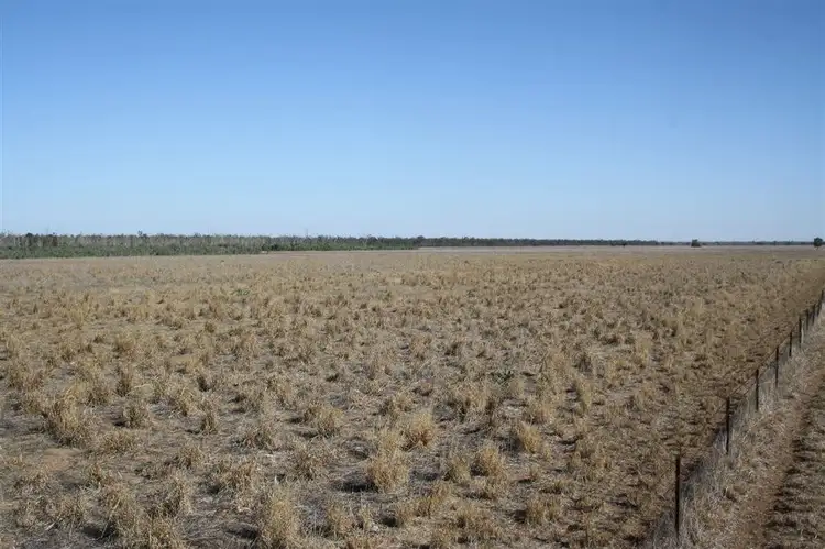 Second view of Homely rural property listing, 'Yarran' Pilliga Road, Coonamble NSW 2829