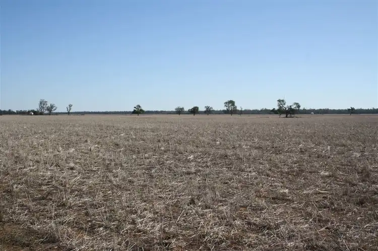 Third view of Homely rural property listing, 'Yarran' Pilliga Road, Coonamble NSW 2829