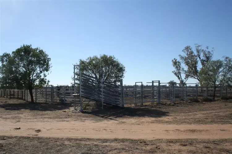 Fourth view of Homely rural property listing, 'Yarran' Pilliga Road, Coonamble NSW 2829
