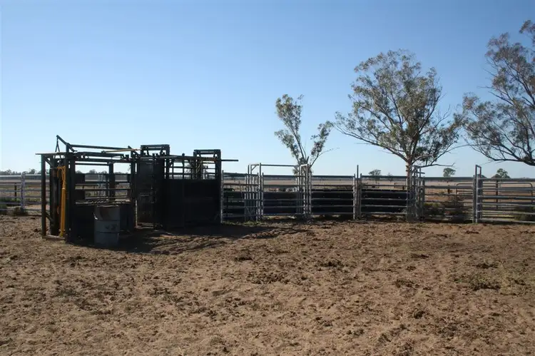 Fifth view of Homely rural property listing, 'Yarran' Pilliga Road, Coonamble NSW 2829