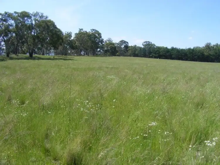 Second view of Homely rural property listing, . Sharmans Road, Glen Innes NSW 2370