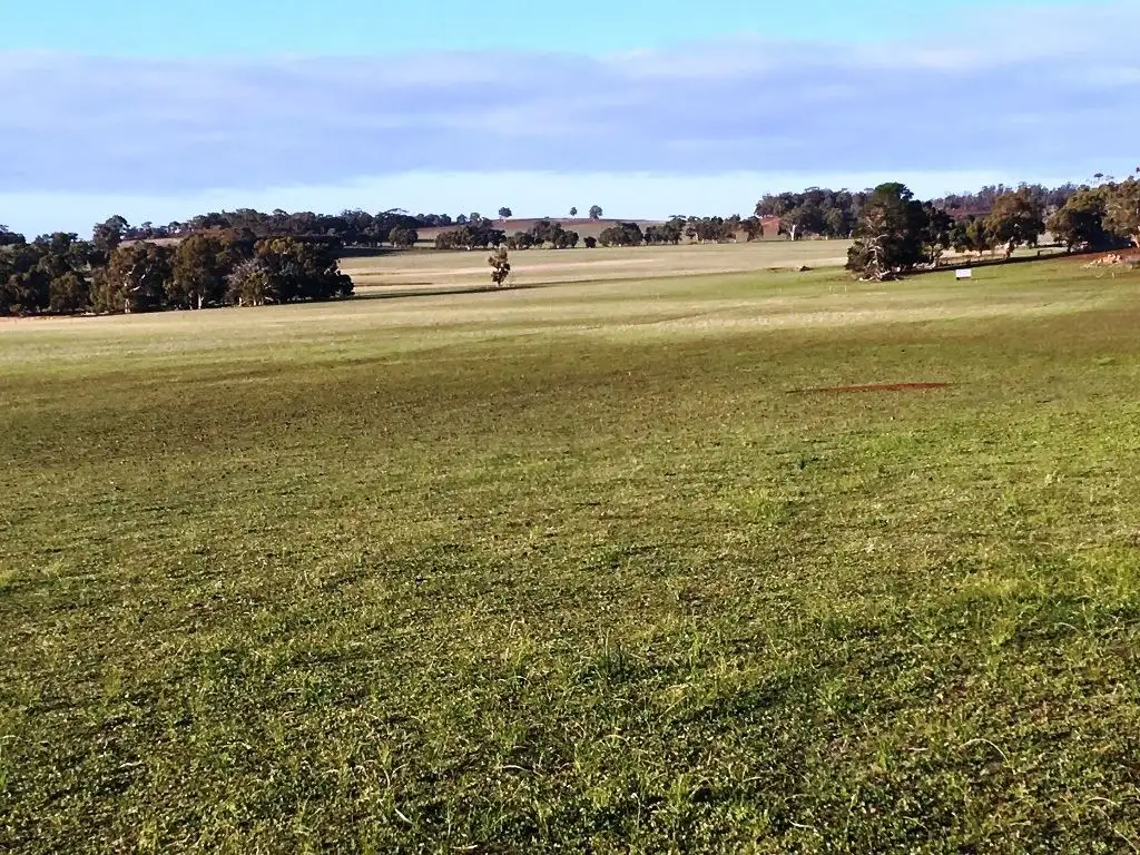 Main view of Homely rural property listing, ' Narrogin Valley Road ', Narrogin WA 6312