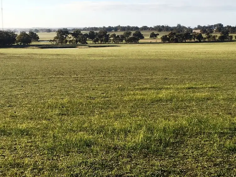 Third view of Homely rural property listing, ' Narrogin Valley Road ', Narrogin WA 6312