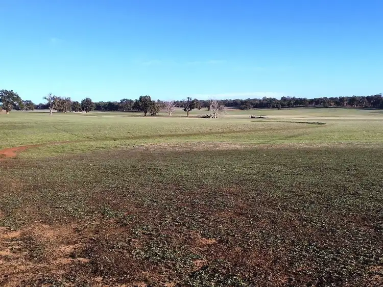 Fourth view of Homely rural property listing, ' Narrogin Valley Road ', Narrogin WA 6312