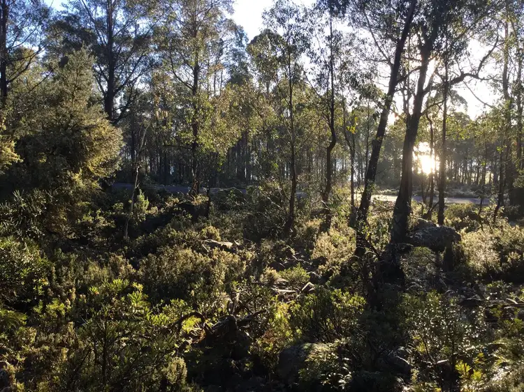 15 Arthurs Lake Road, Arthurs Lake TAS 7030