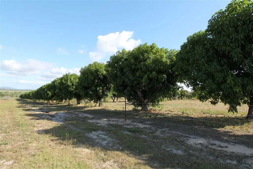 Main view of Homely rural property listing, Address available on request
