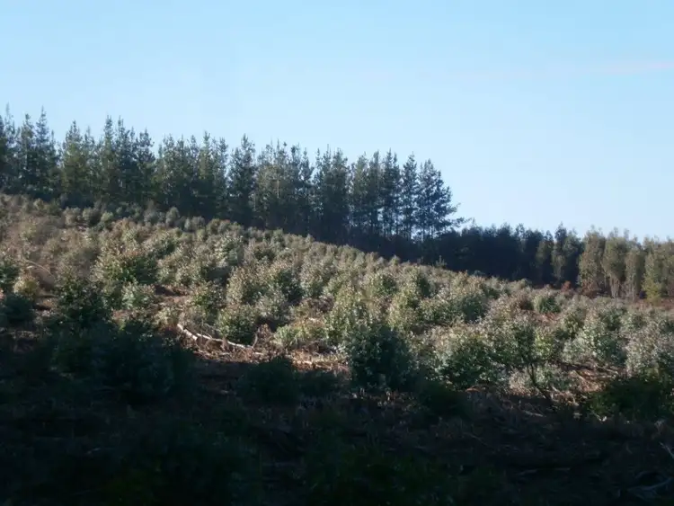 Sixth view of Homely rural property listing, 2750 Maranup Ford Road, Maranup WA 6256