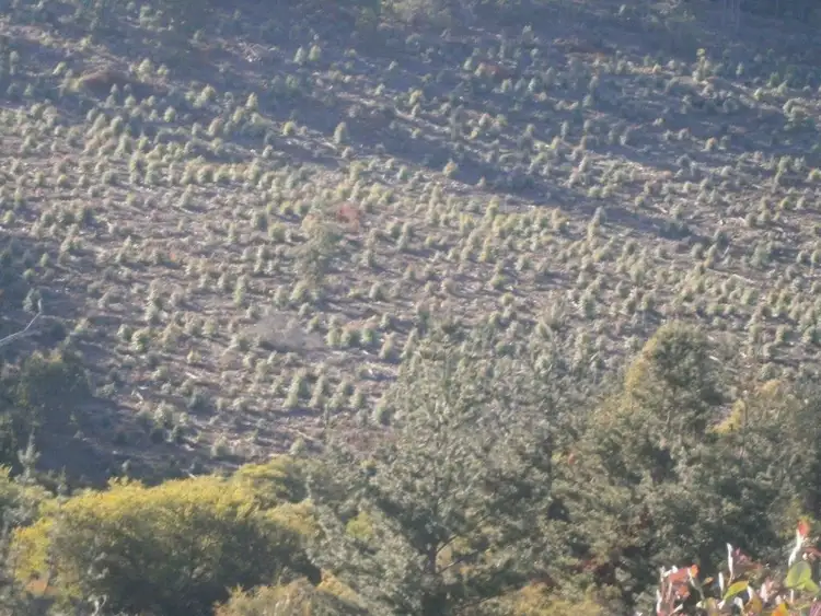 Seventh view of Homely rural property listing, 2750 Maranup Ford Road, Maranup WA 6256