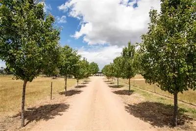 Main view of Homely rural property listing, 200 Hawthorn Rd, Jindera NSW