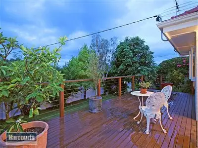 Second view of Homely house listing, 19 Sapphire Street, Holland Park QLD