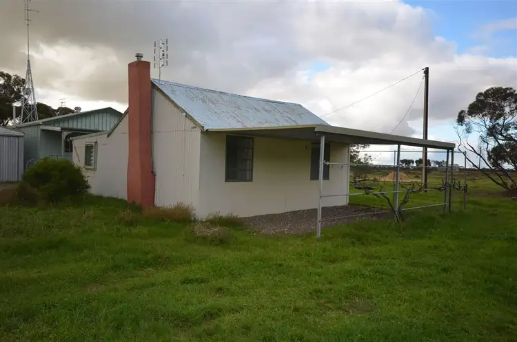 Main view of Homely house listing, 55 Schumacher Street, Parilla SA 5303