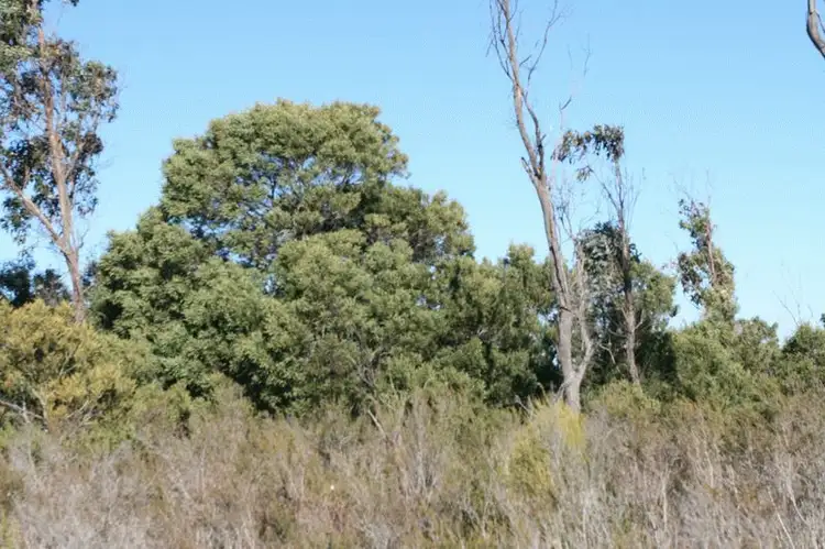 Sixth view of Homely land listing, 1284 North Ansons Bay Road, Ansons Bay TAS 7264