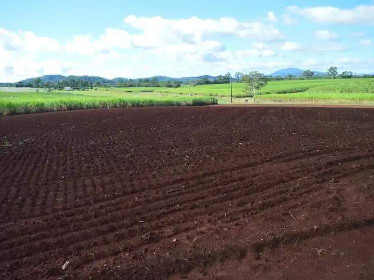 Fifth view of Homely rural property listing, Lot 1 Mackay-Eungella Road, Pinnacle QLD 4741
