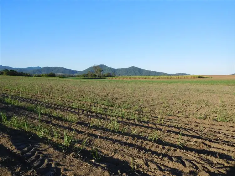 Sixth view of Homely rural property listing, Lot 1 Mackay-Eungella Road, Pinnacle QLD 4741