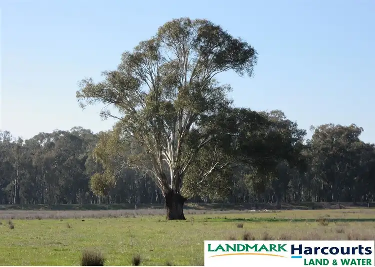Second view of Homely rural property listing, 805 O'Brien Road, Undera VIC 3629