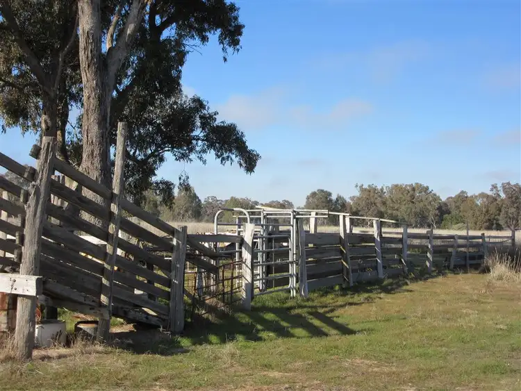 Fifth view of Homely rural property listing, 805 O'Brien Road, Undera VIC 3629