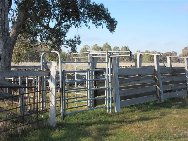 Sixth view of Homely rural property listing, 805 O'Brien Road, Undera VIC 3629