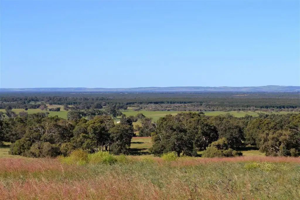 Main view of Homely land listing, 118 Cowalla Road, Wanerie WA 6503