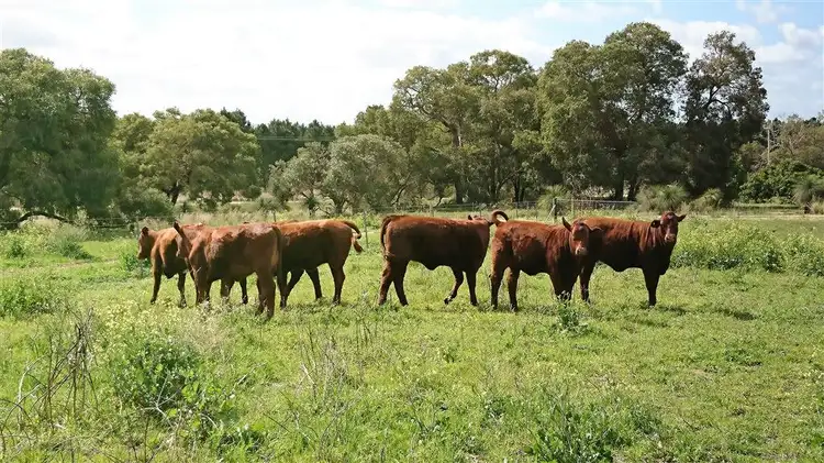 Third view of Homely land listing, 118 Cowalla Road, Wanerie WA 6503