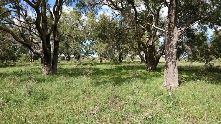 Fifth view of Homely land listing, 118 Cowalla Road, Wanerie WA 6503