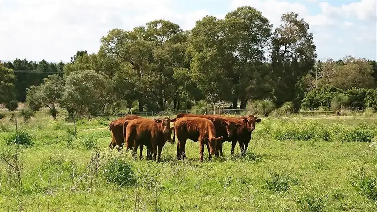 Sixth view of Homely land listing, 118 Cowalla Road, Wanerie WA 6503