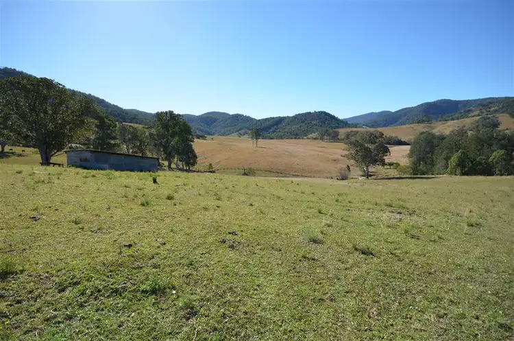 Seventh view of Homely rural property listing, 1331 Forbes River Road, Forbes River NSW 2446