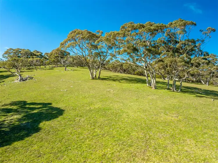 Seventh view of Homely rural property listing, 80 Memory Grove, Lower Inman Valley SA 5211