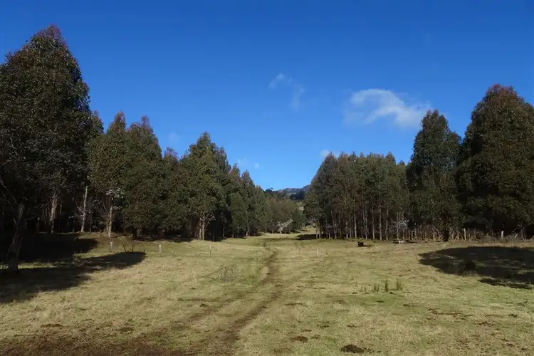 Main view of Homely rural property listing, . Azels Road, Mole Creek TAS 7304