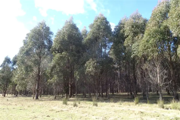 Third view of Homely rural property listing, . Azels Road, Mole Creek TAS 7304