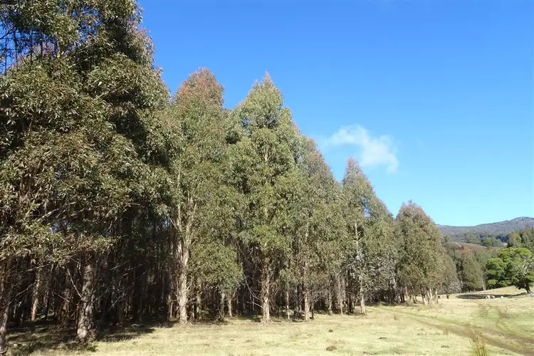 Fifth view of Homely rural property listing, . Azels Road, Mole Creek TAS 7304