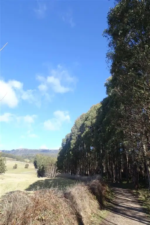 Third view of Homely rural property listing, . Scotts Road, Mole Creek TAS 7304