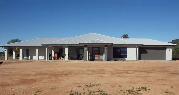 Main view of Homely rural property listing, 784A Government Road, Renmark West SA 5341