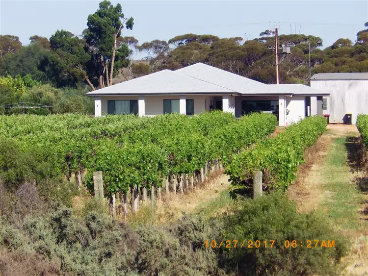 Second view of Homely rural property listing, 784A Government Road, Renmark West SA 5341