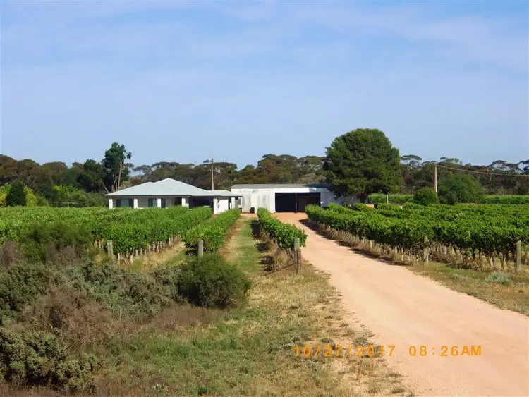 Third view of Homely rural property listing, 784A Government Road, Renmark West SA 5341