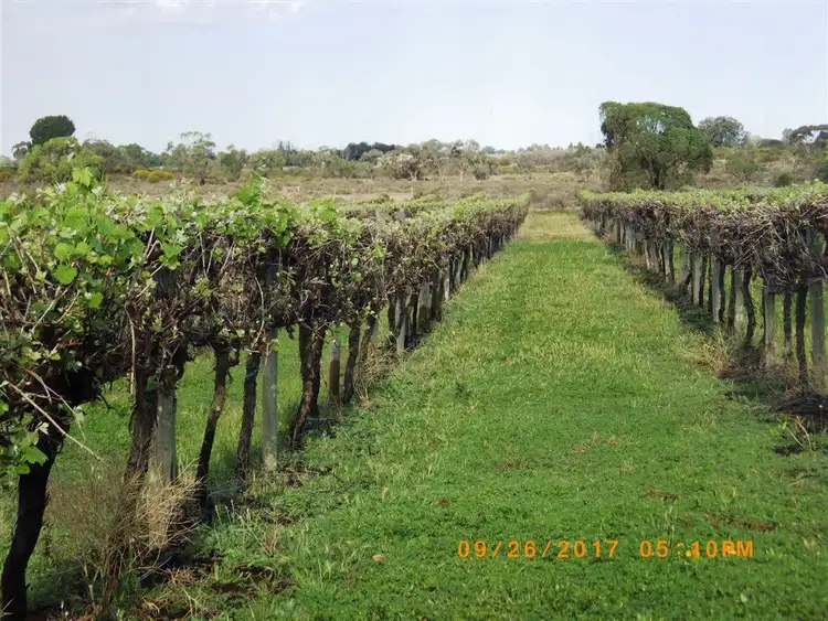 Fourth view of Homely rural property listing, 784A Government Road, Renmark West SA 5341