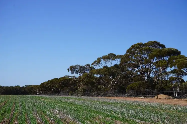 Second view of Homely rural property listing, Address available on request