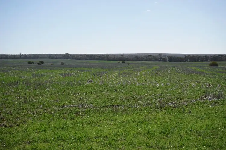 Fourth view of Homely rural property listing, Address available on request