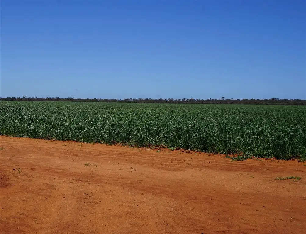 Main view of Homely rural property listing, Address available on request