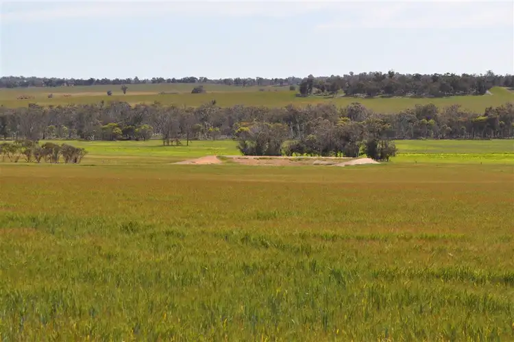 Fourth view of Homely rural property listing, 1137 Boscabel Chittinup Road, Kojonup WA 6395