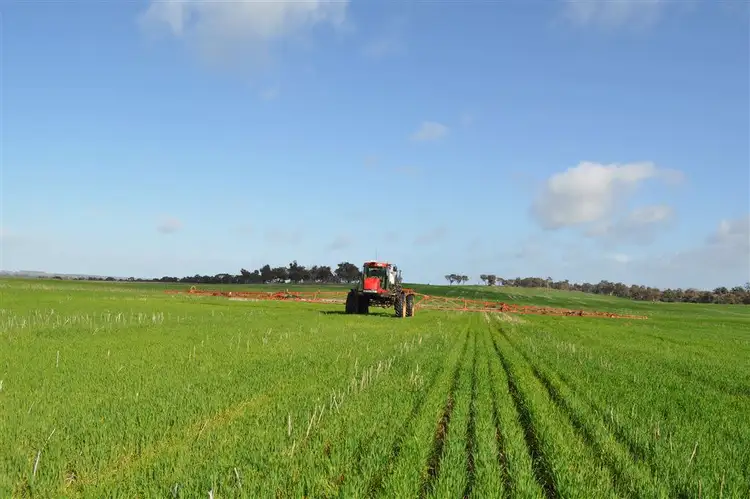Seventh view of Homely rural property listing, 1137 Boscabel Chittinup Road, Kojonup WA 6395