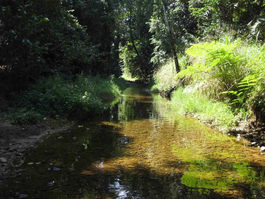 Main view of Homely rural property listing, 126 Shell Pocket Road, Shell Pocket QLD 4855